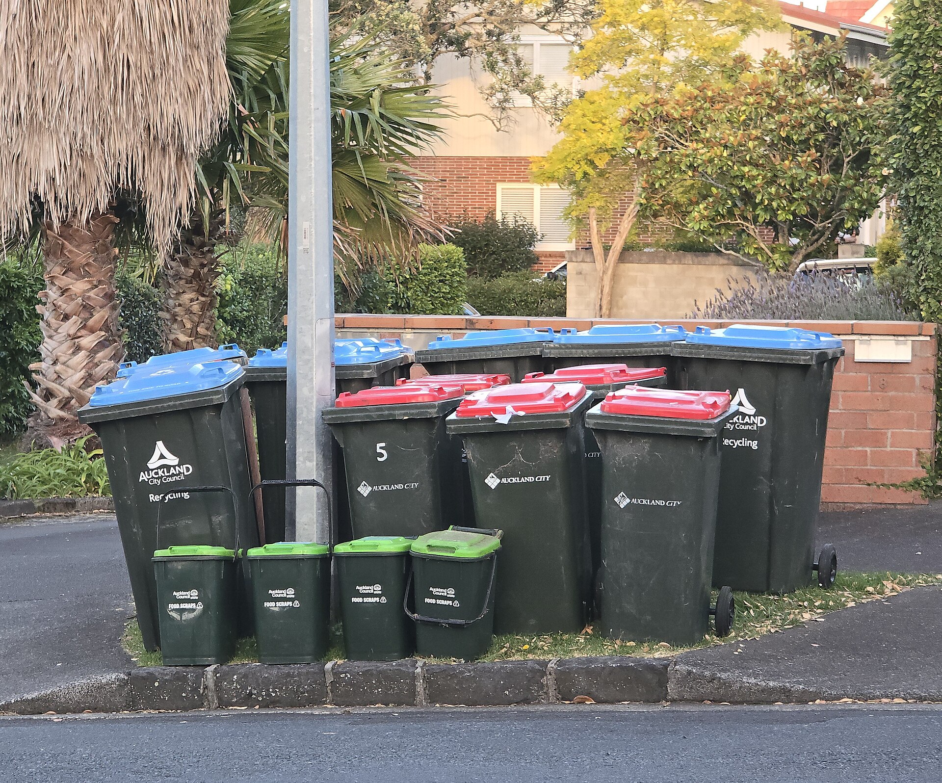 NYC curbside organics: 72.5% growth, 8% capture — and why enforcement stopped working